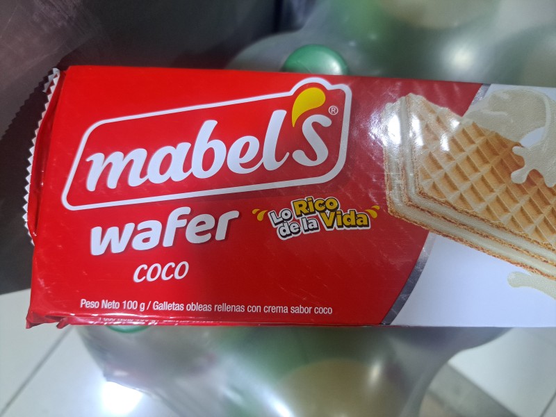 Wafer coco grande 100 g Mabel