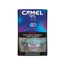 CAMEL ACTIVATE MINT&PURPLE 10UNID.
